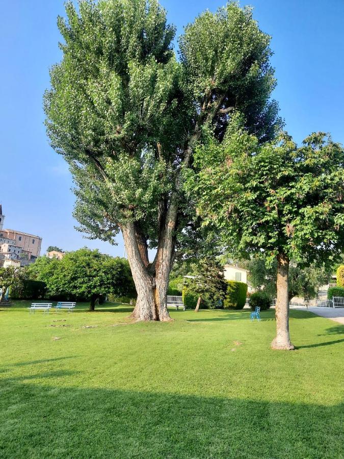דירות Calmasino Residenza Palmira Bardolino מראה חיצוני תמונה